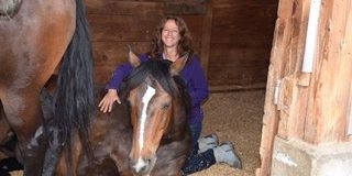 Marji Pearson horse treatment with Zoopharmacognosy