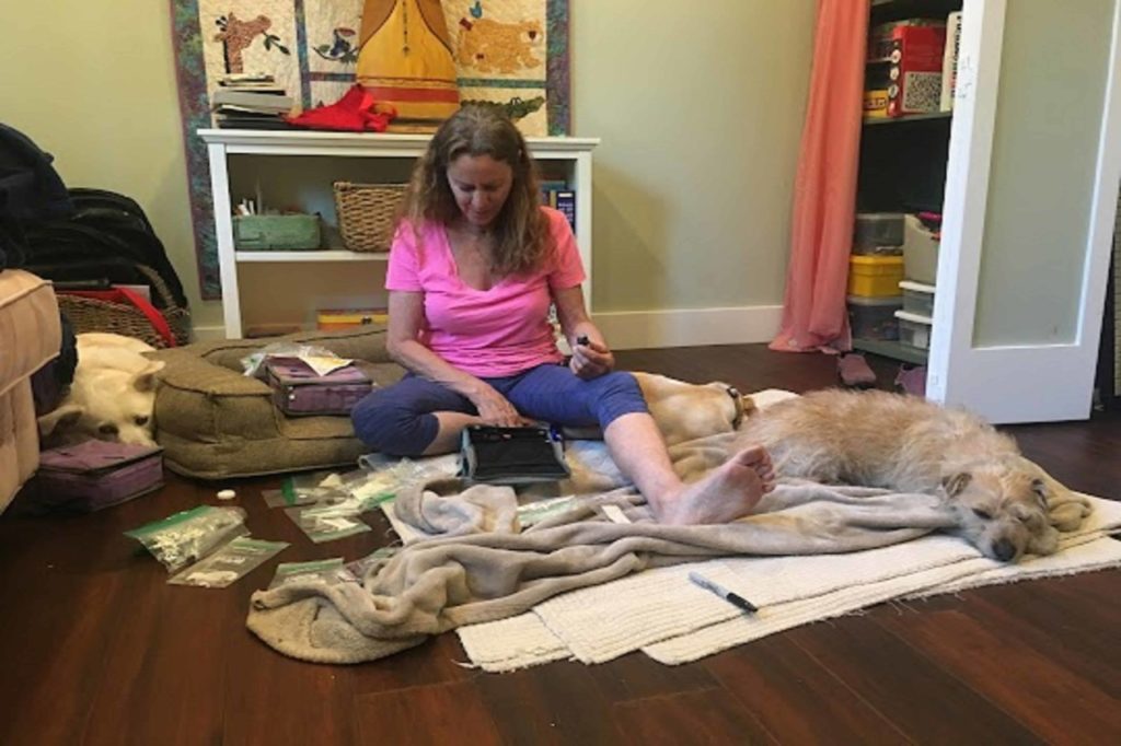 Marji Pearson Sitting on Floor Healing Big Brown Sick Dog